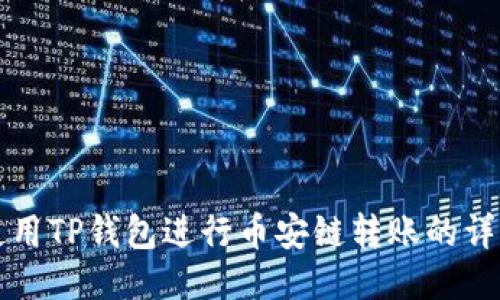 如何使用TP钱包进行币安链转账的详细指南