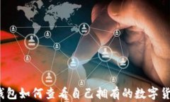 TP钱包如何查看自己拥有的数字货币？
