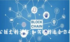 TP钱包中的公链支持详解：如何选择适合你的区块