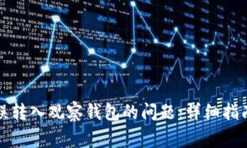 如何解决TP钱包误转入观察钱包的问题：详细指南与常见问题解答
