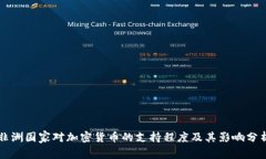 非洲国家对加密货币的支持程度及其影响分析